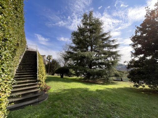 dettaglio giardino