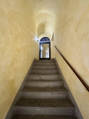 IMG_3380